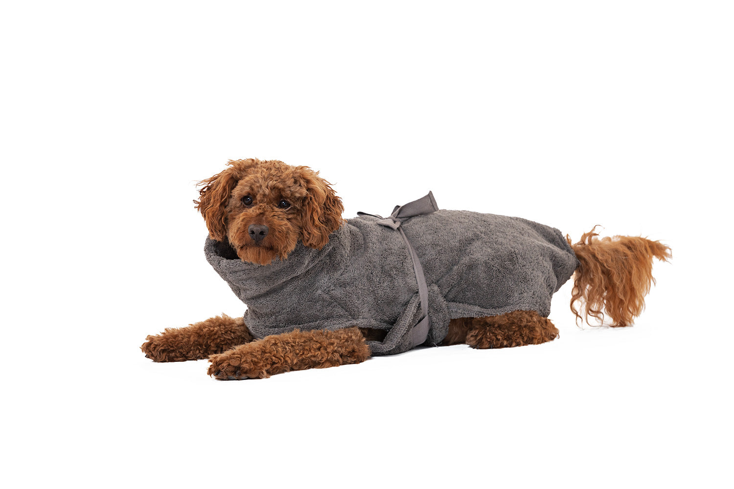 Hundebademantel Grey Größe XS