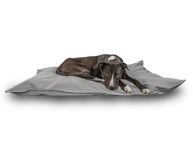 Wechselbezug für Hundekissen "CLARA" | light grey