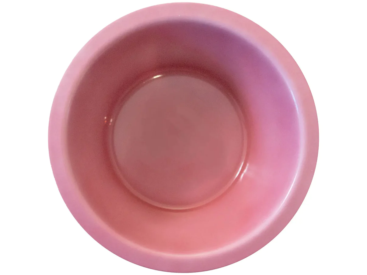 Porcelain bowl for dogBar® M and M-Small "Raspberry LIMITED" 
