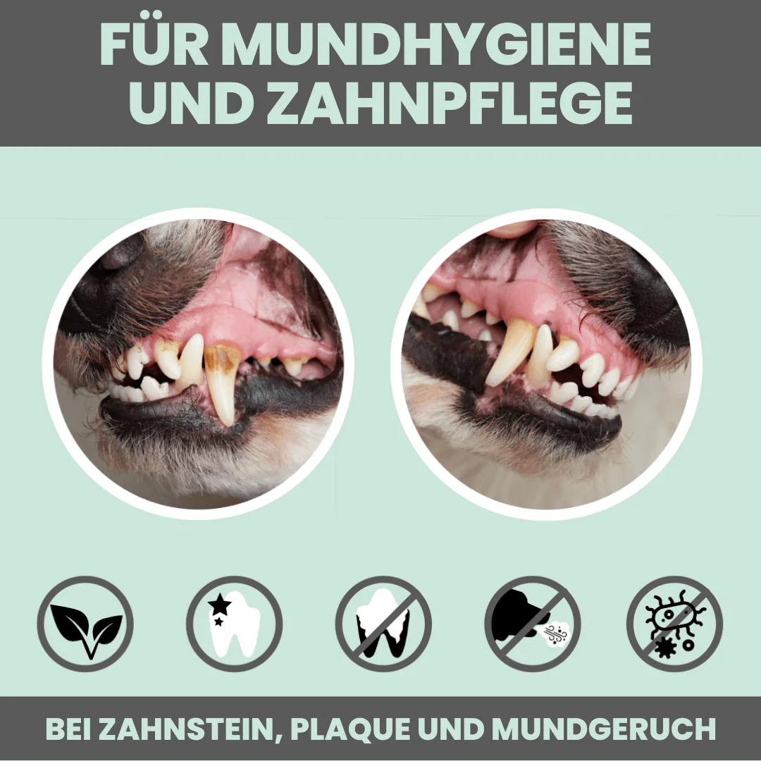 Dentalmix Dentalmix vegan + sensitiv |  Dentalpulver mit Algen und Hanföl für Hunde bei Zahnstein, Maulgeruch und Zahnfleischrötung