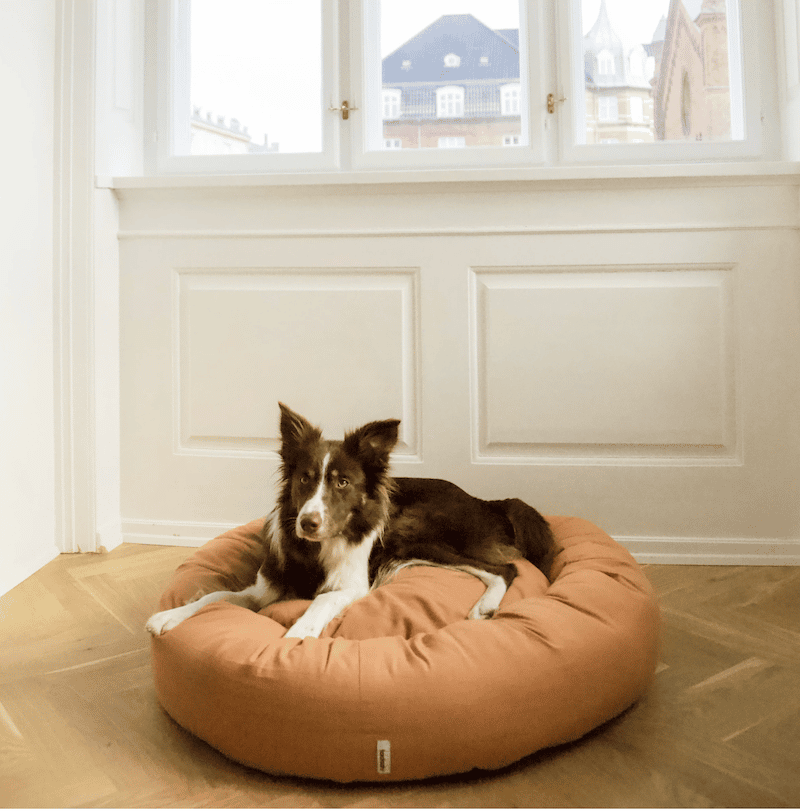 Hundebett | Donut 