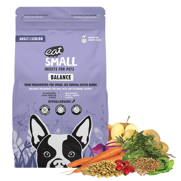BALANCE | Dry food with insect protein for sensitive dogs
